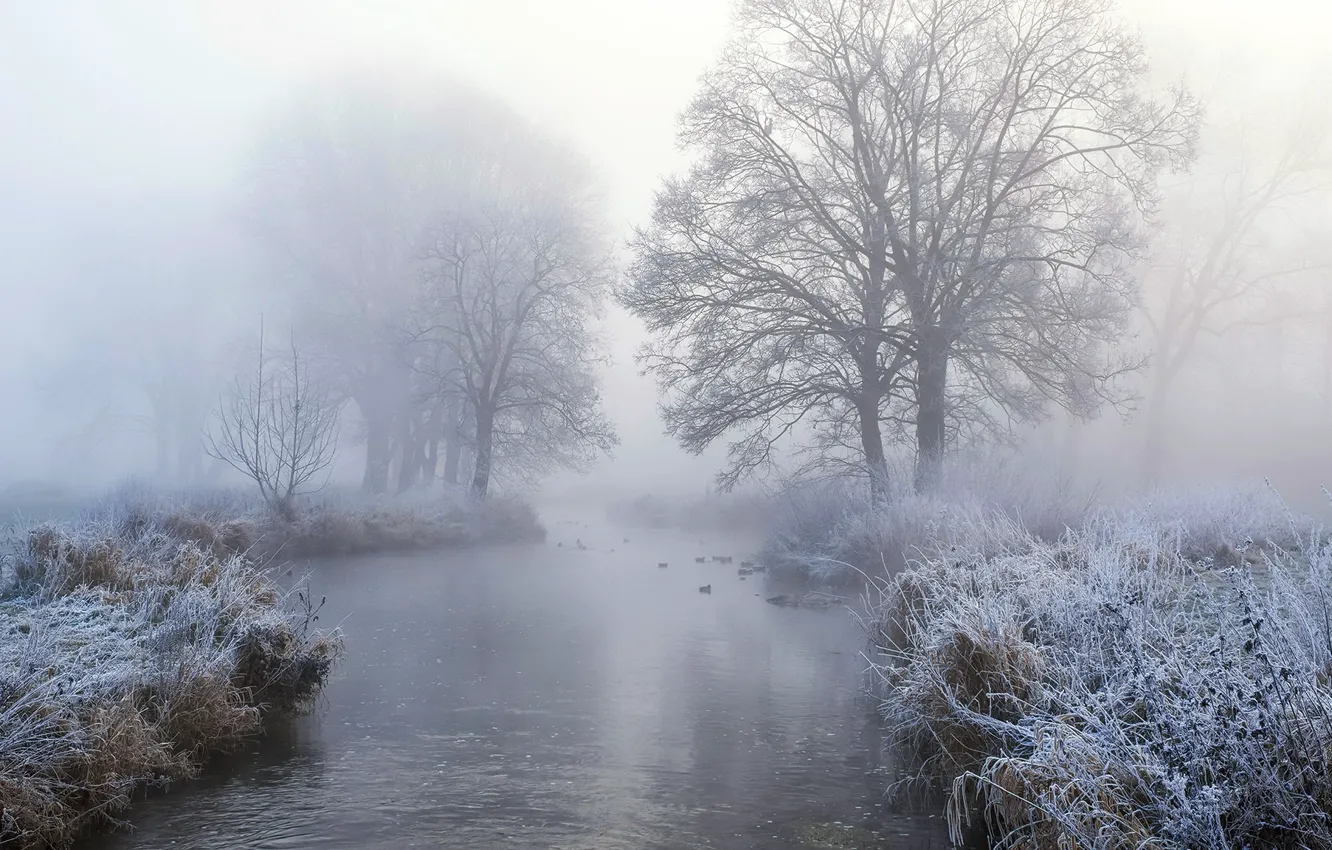 Photo wallpaper winter, fog, river