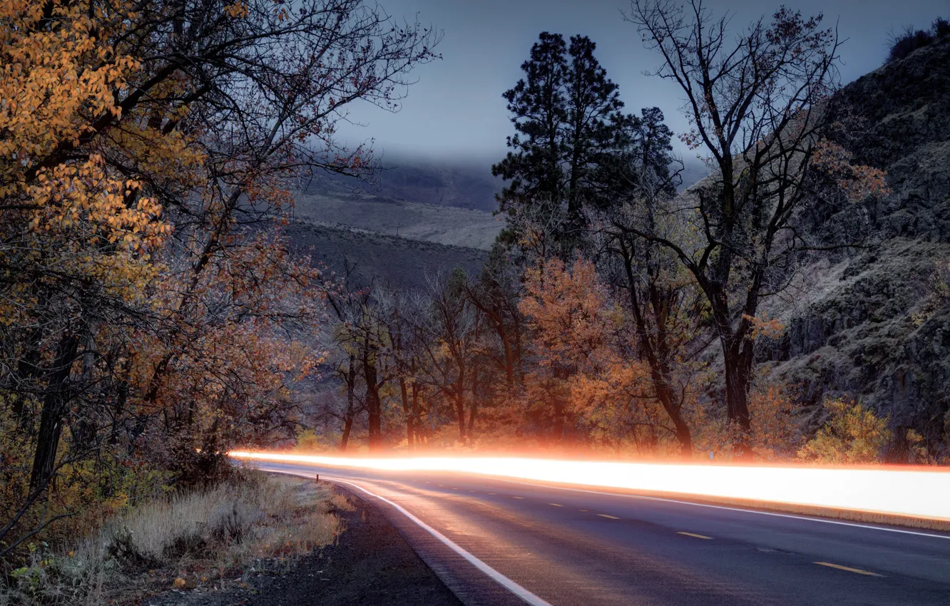 Photo wallpaper road, autumn, trees, Washington