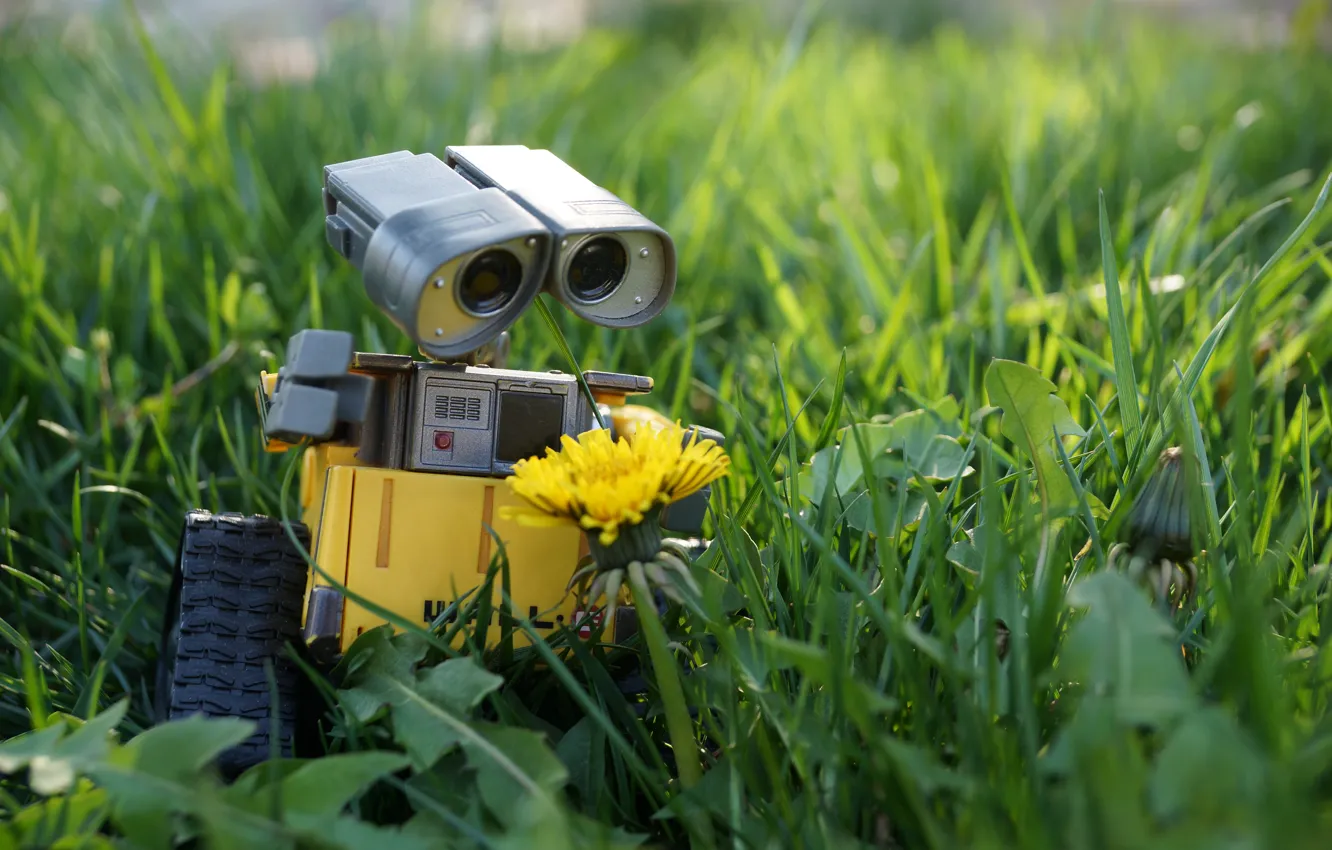 Photo wallpaper grass, flowers, nature, dandelion, lawn, toy, robot, wall-e