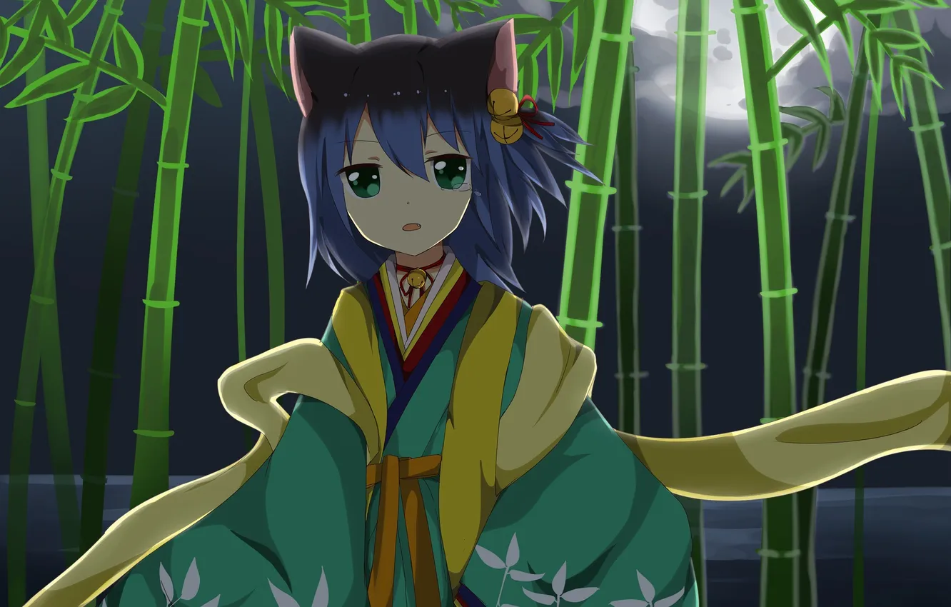 Photo wallpaper look, night, bamboo, girl, neko, art, saru to yami, Utau