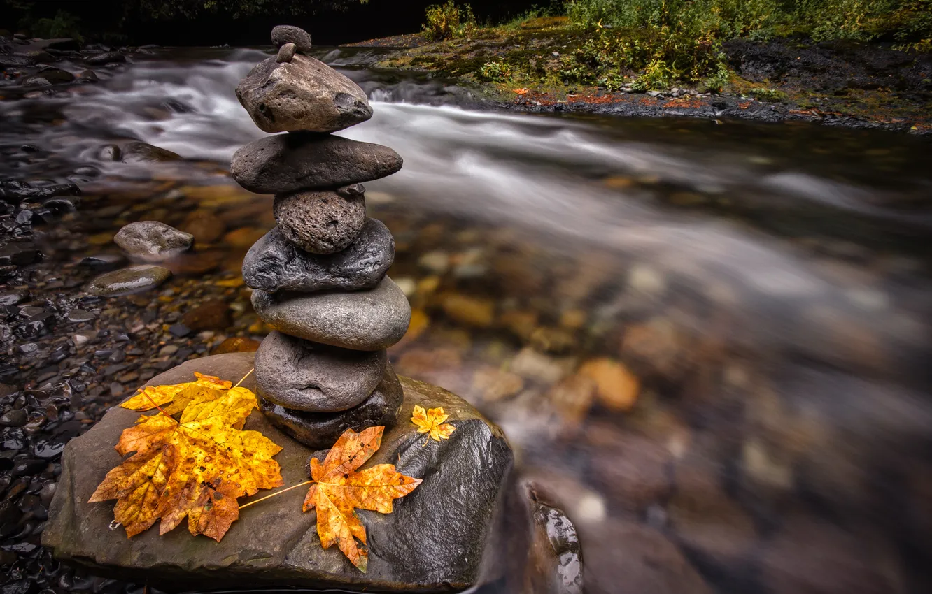 Photo wallpaper autumn, leaves, river, stones