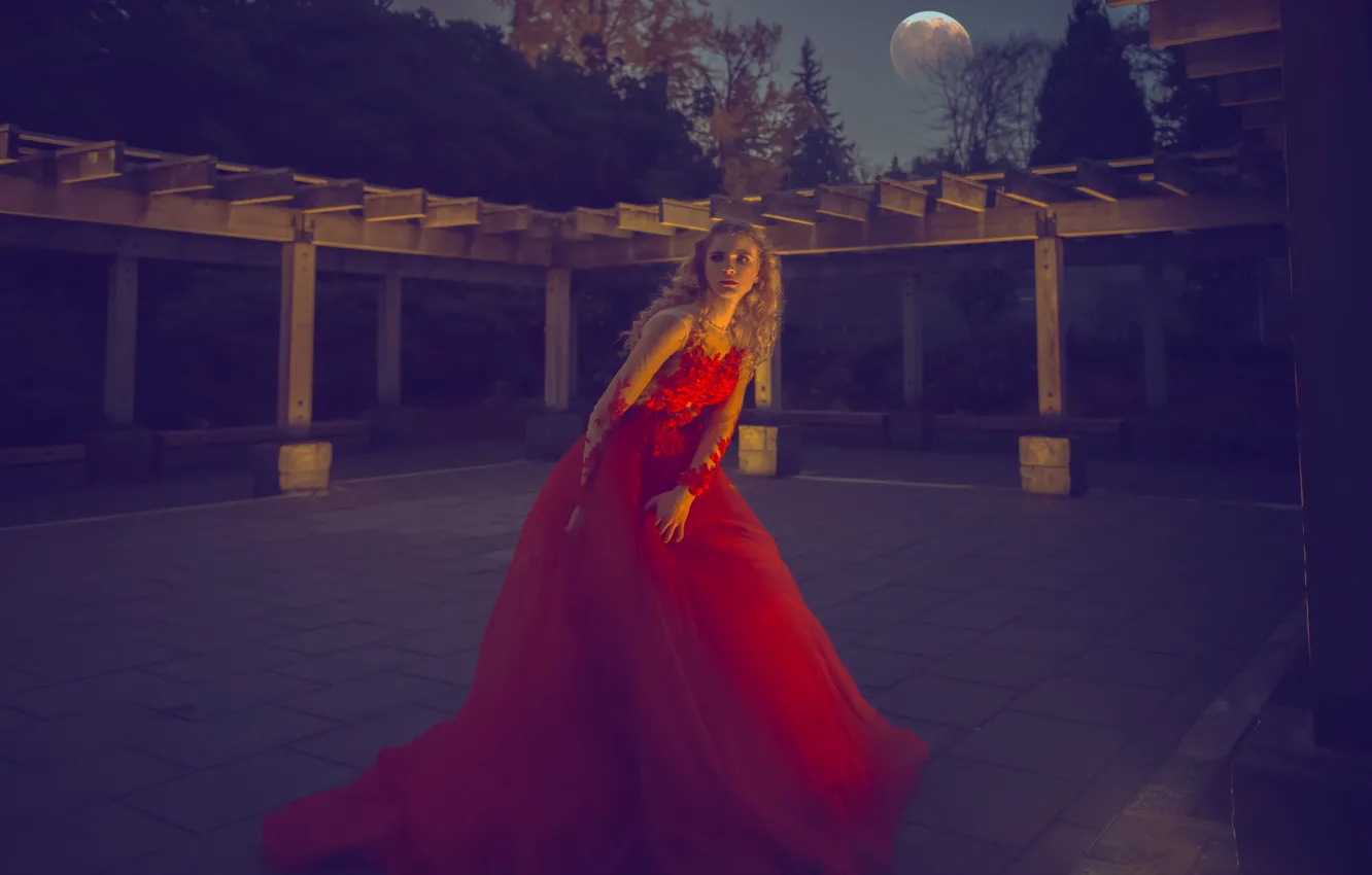 Photo wallpaper pose, blonde, red dress