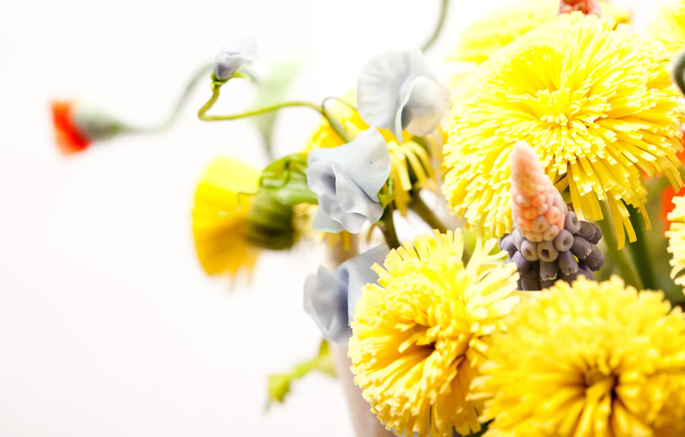 Photo wallpaper white, background, Flowers, bouquet, blur