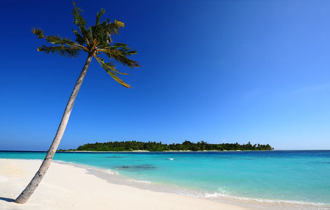Photo wallpaper sand, sea, beach, Palma, palm trees, island, The Maldives, nature.