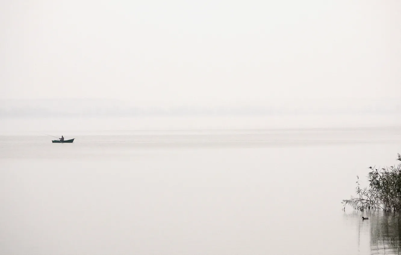 Photo wallpaper fog, lake, boat, duck, fisherman