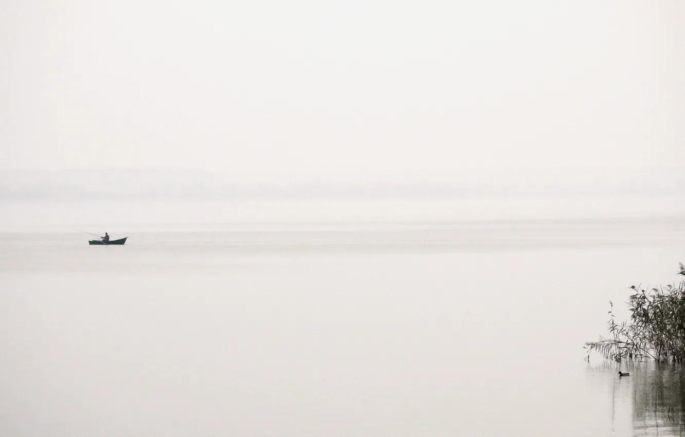 Photo wallpaper fog, lake, boat, fisherman, duck