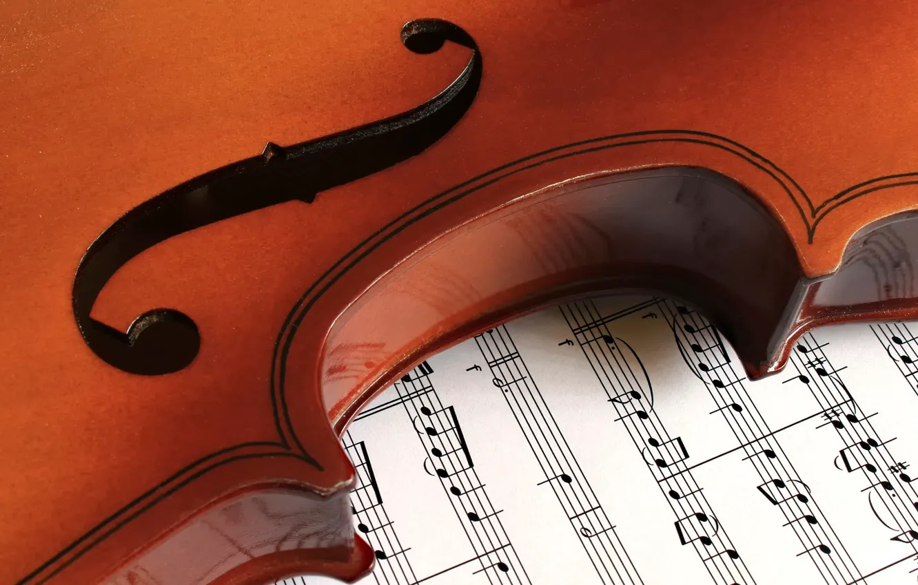 Photo wallpaper macro, notes, Violin