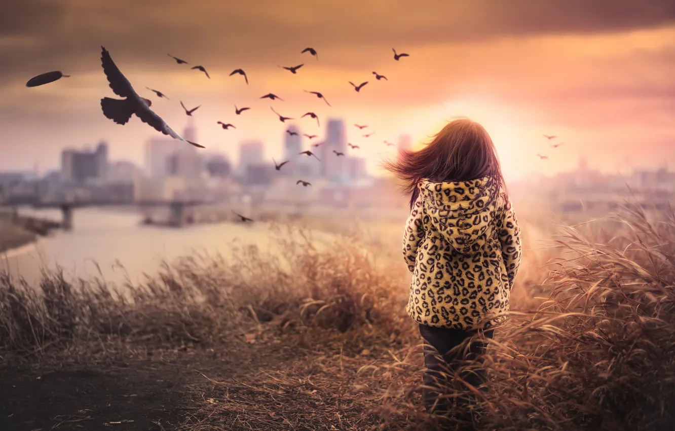 Photo wallpaper field, bird, girl