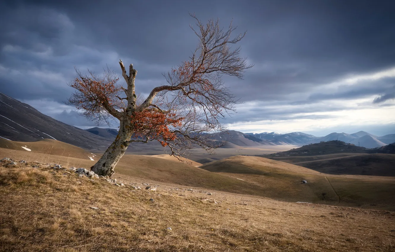 Photo wallpaper Umbria, Castelluccio, norcia
