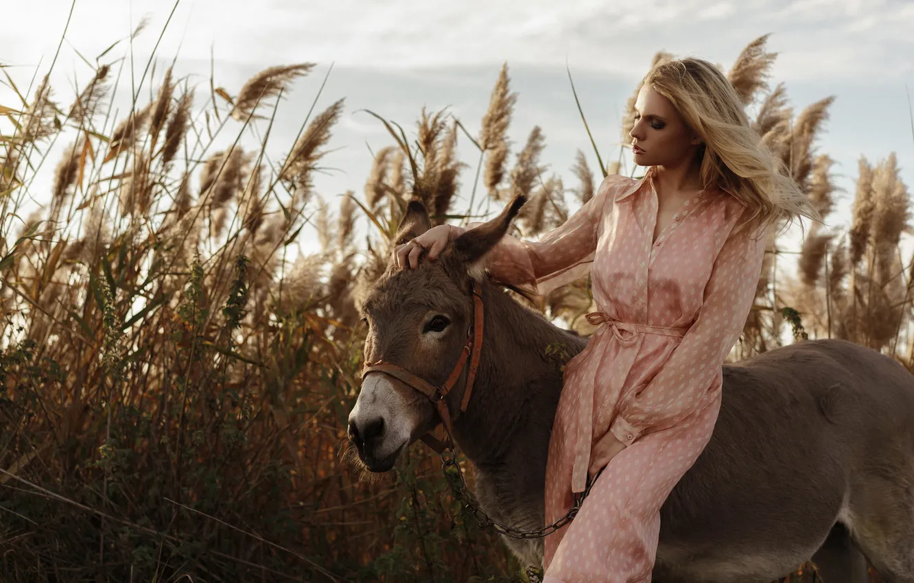 Photo wallpaper girl, blonde, Ass, donkey, donkey