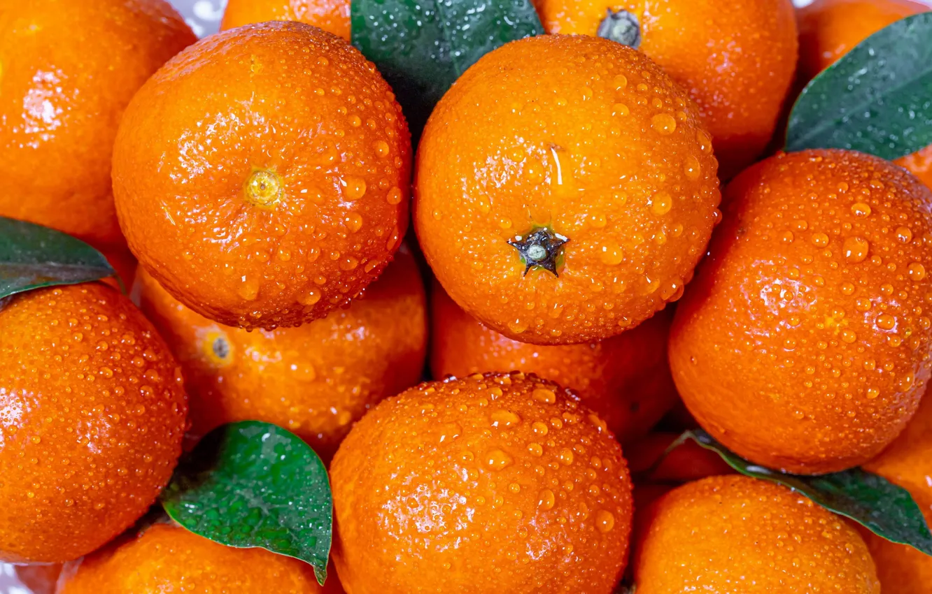 Photo wallpaper citrus, water drops, tangerines