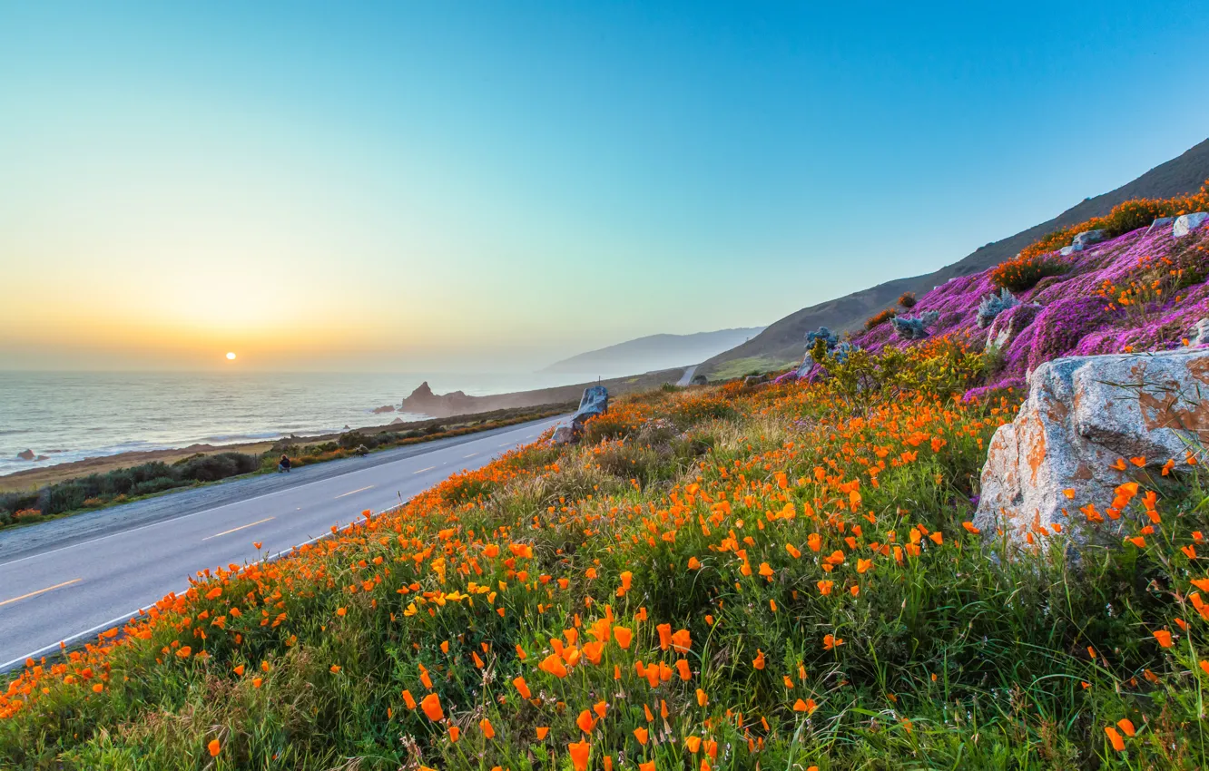 Photo wallpaper road, sea, the sky, the sun, sunset, flowers, mountains, stones