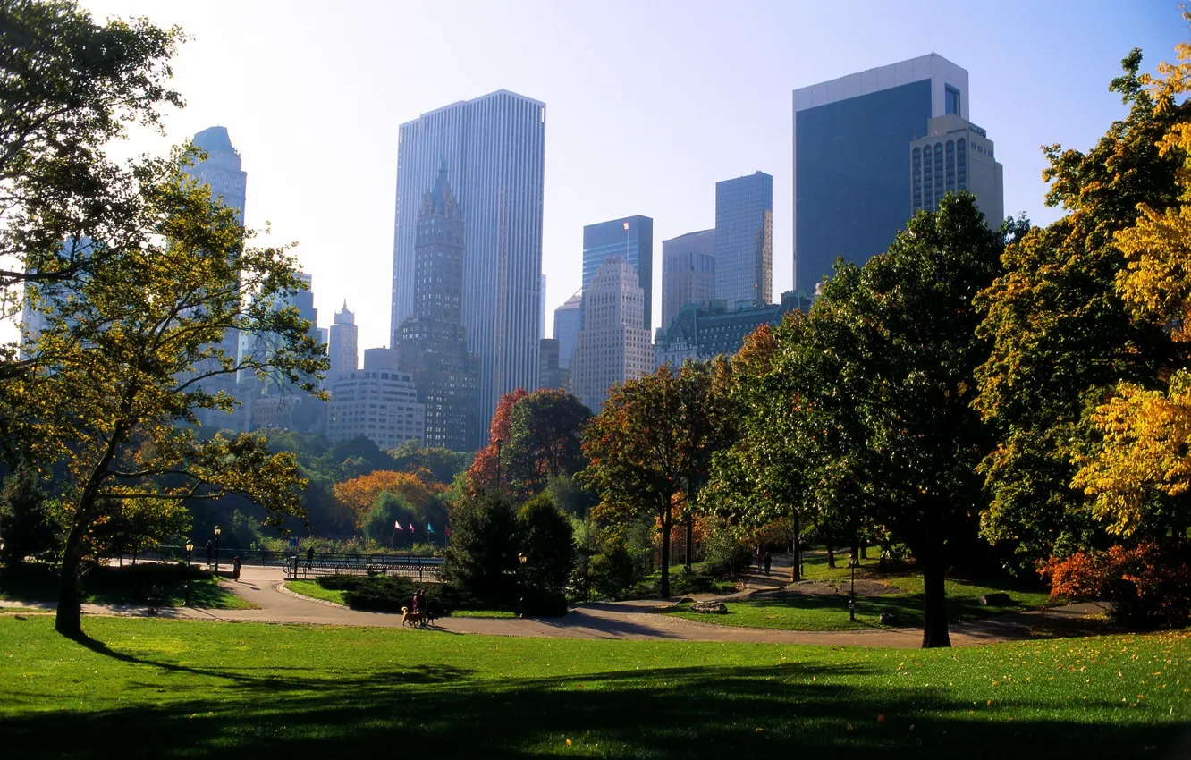 Photo wallpaper trees, city, the city, Park, path, park, new york, usa