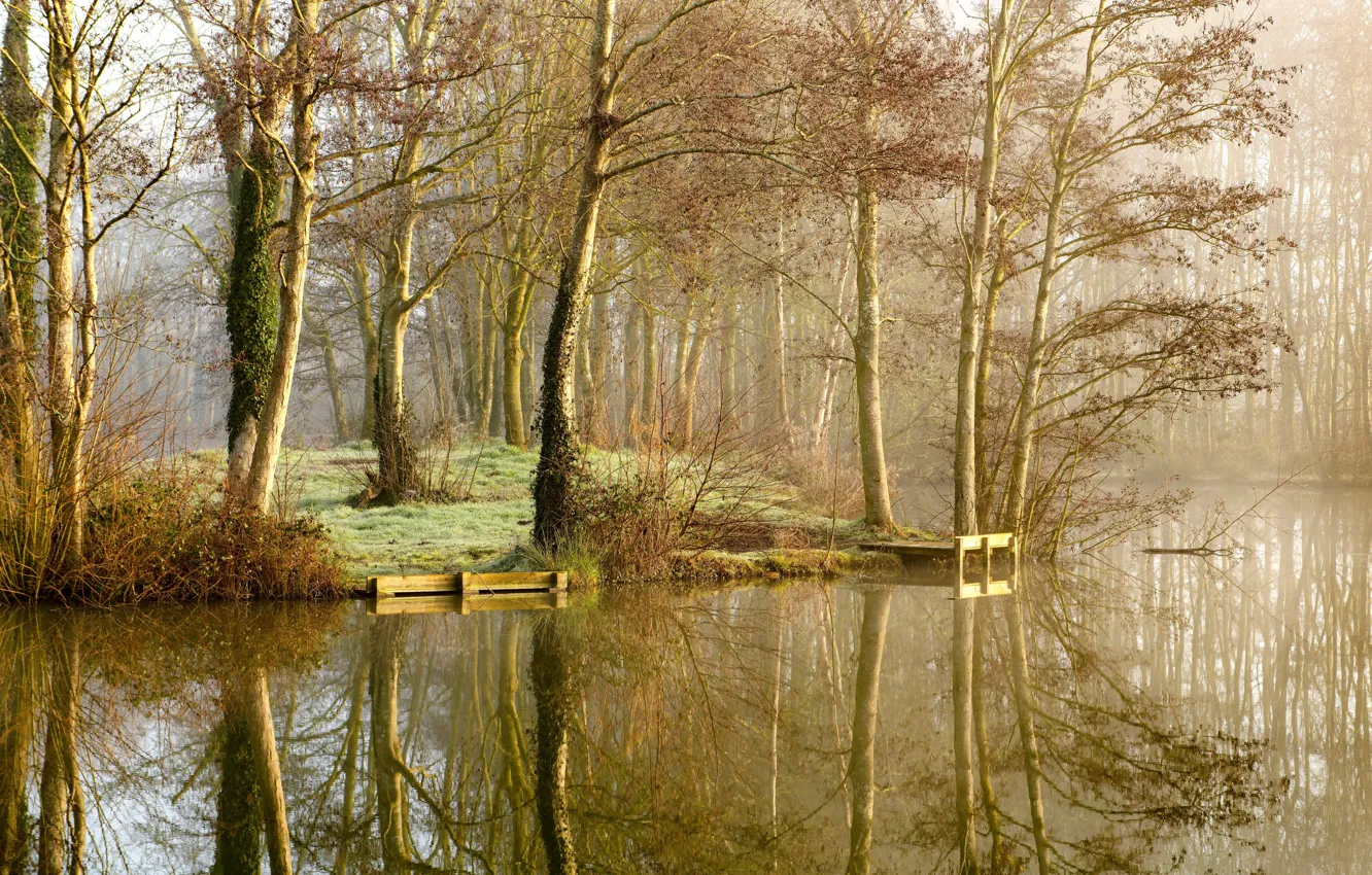 Photo wallpaper autumn, trees, nature, fog, lake, Park, reflection