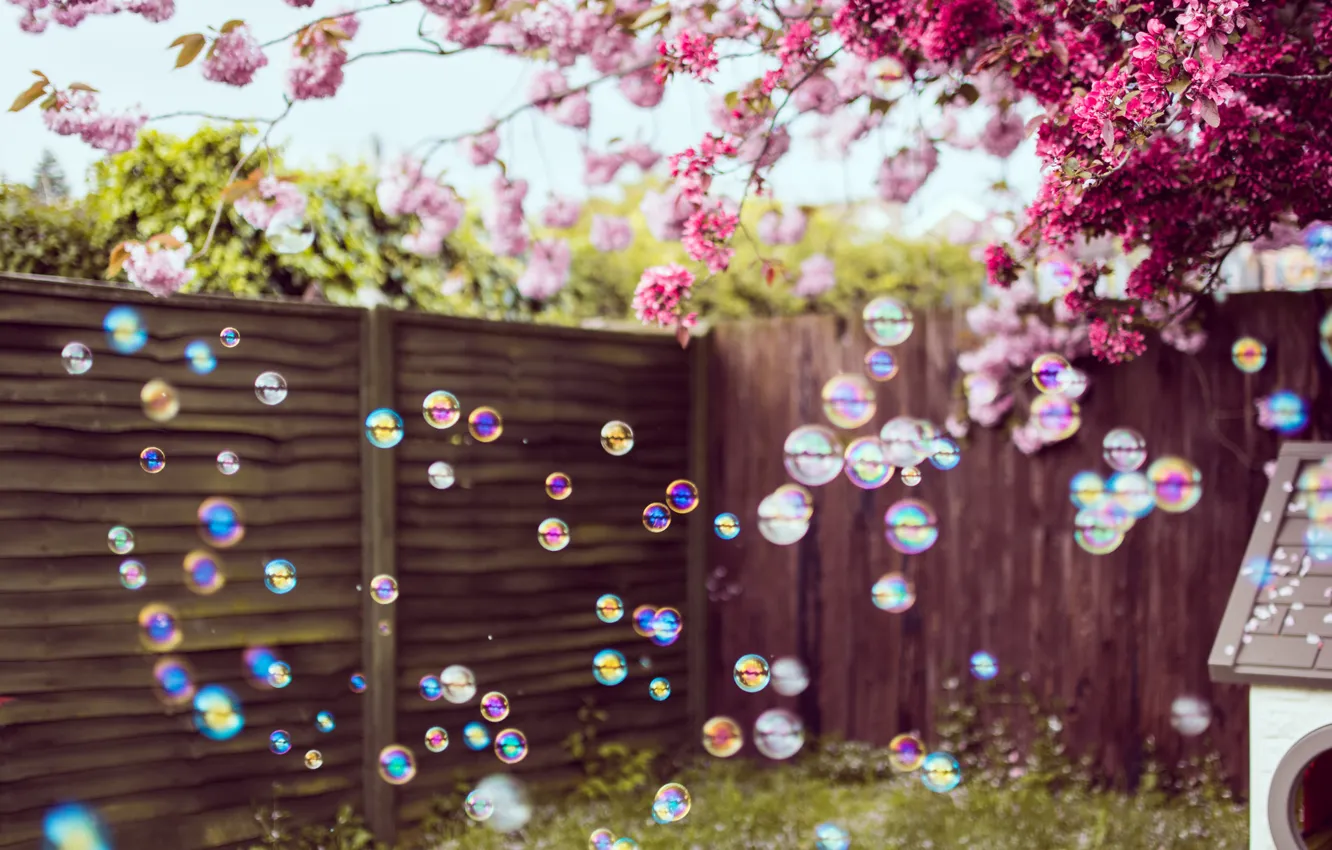 Photo wallpaper flowers, bubbles, wall, yard