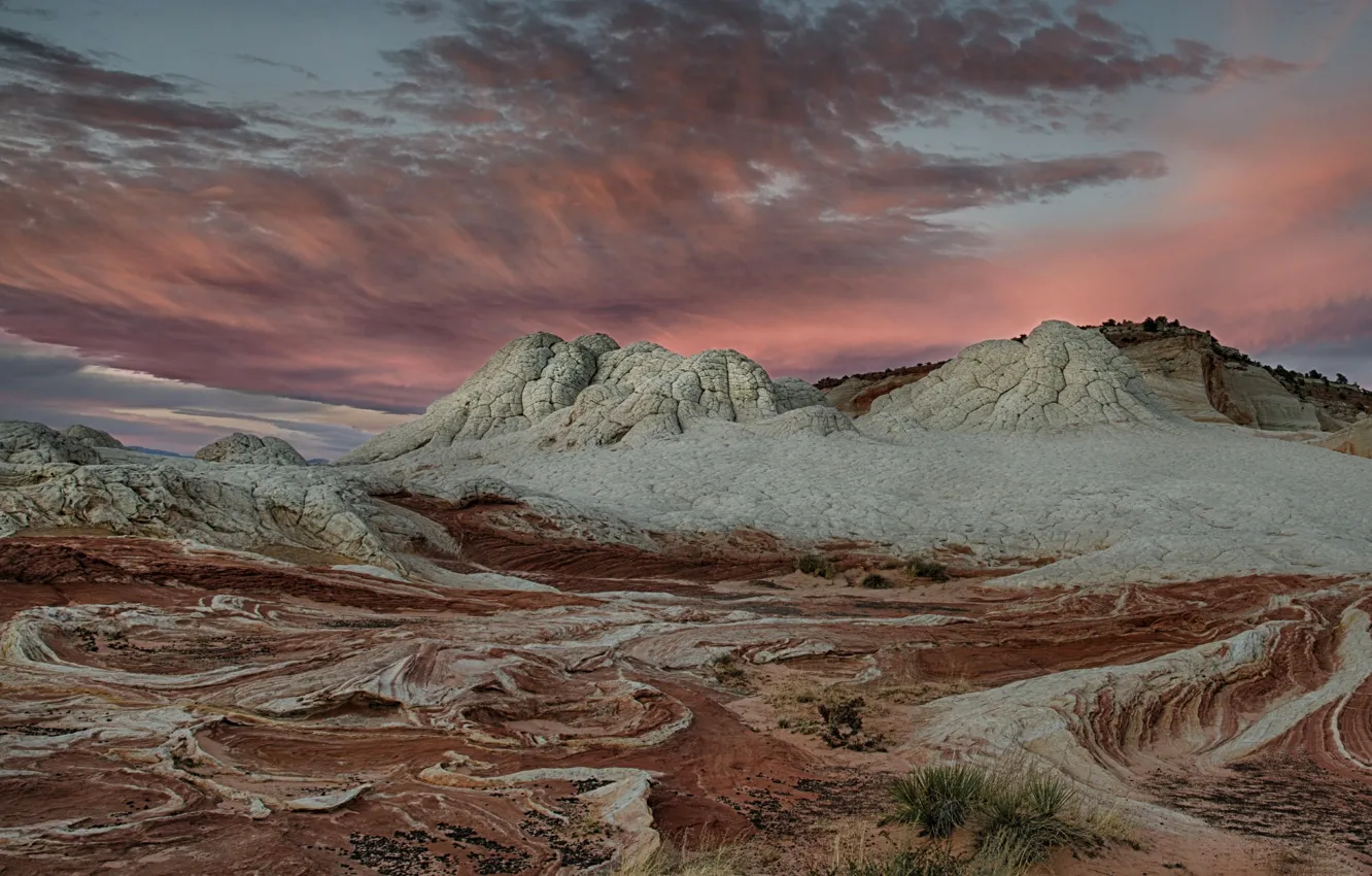 Photo wallpaper AZ, USA, White Pocket