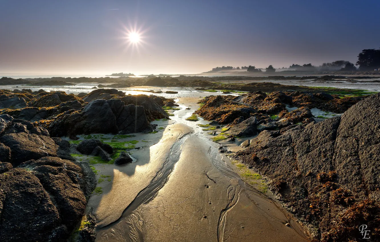 Photo wallpaper beach, algae, landscape, nature, stones