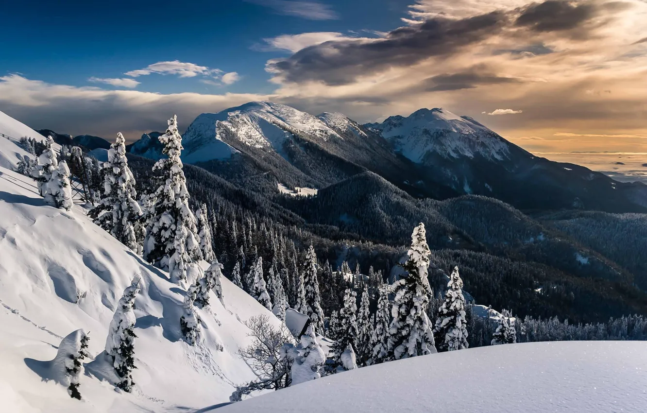 Photo wallpaper winter, snow, landscape, mountains, nature, lervia
