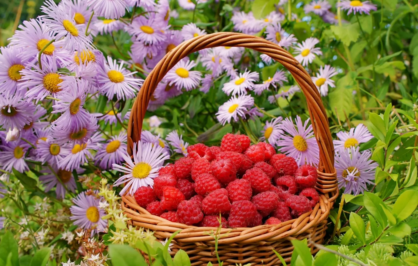 Photo wallpaper flowers, berries, raspberry, basket