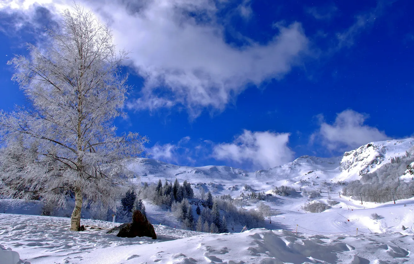Photo wallpaper winter, the sky, clouds, snow, trees, mountains, slope