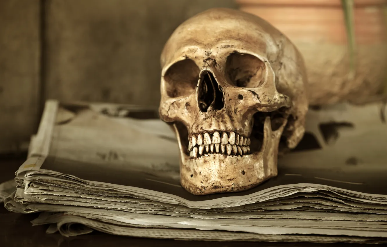 Photo wallpaper sake, human, bones, teeth