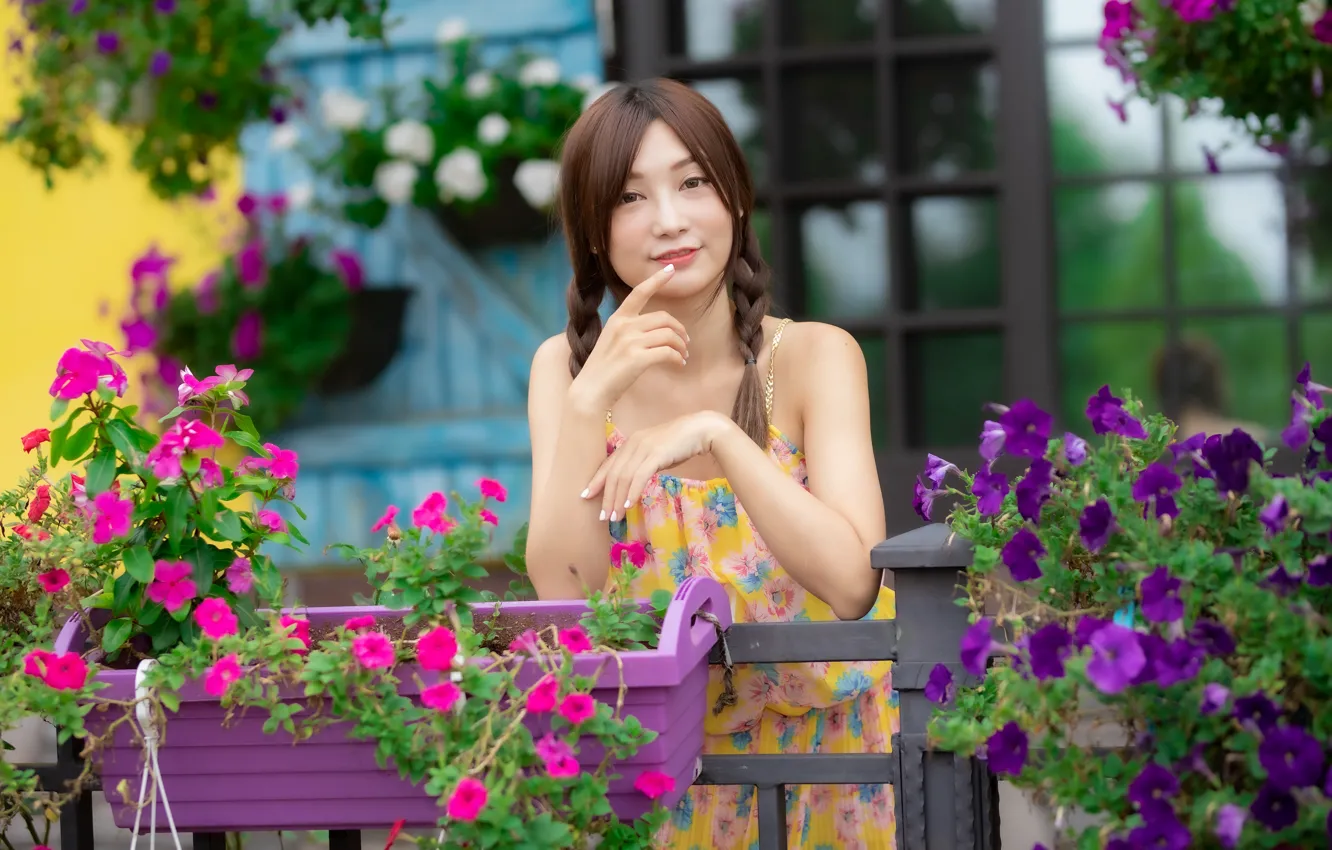 Photo wallpaper look, braids, Asian