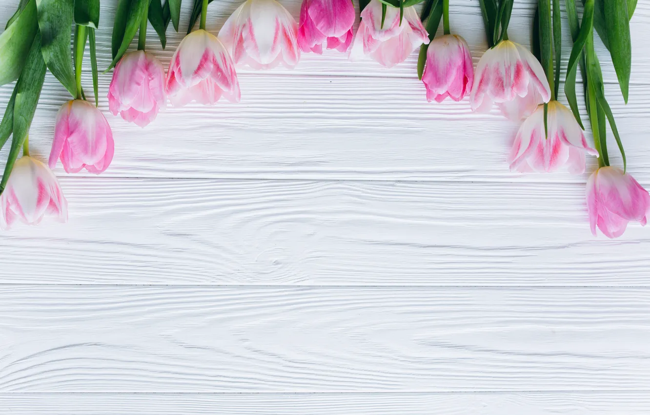 Photo wallpaper flowers, tulips, pink, fresh, wood, pink, flowers, beautiful