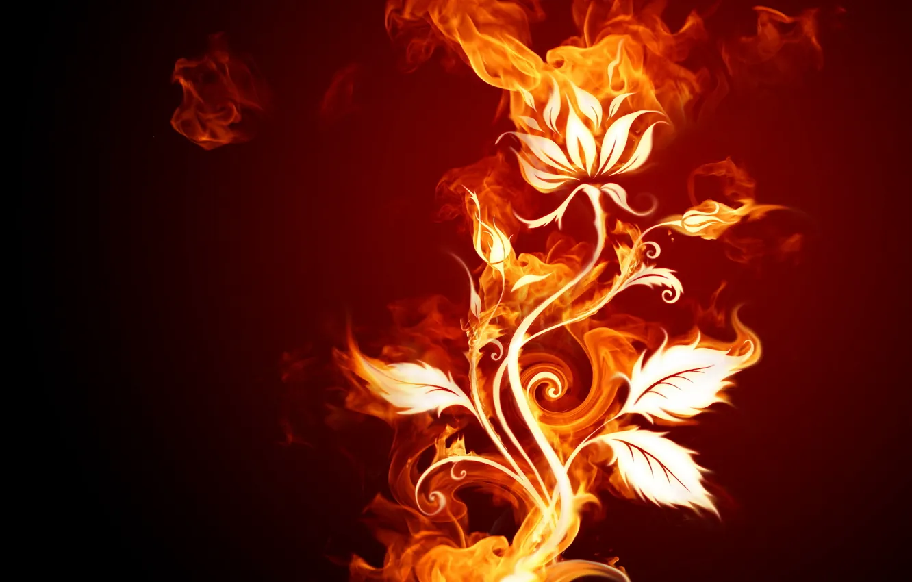 Photo wallpaper flower, fire, different