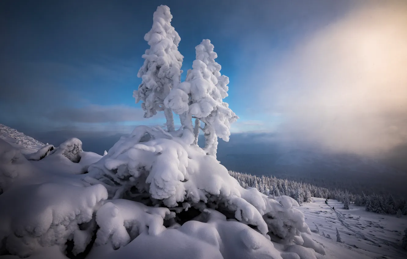 Photo wallpaper winter, snow, trees, landscape, mountains, nature, ate, Ural