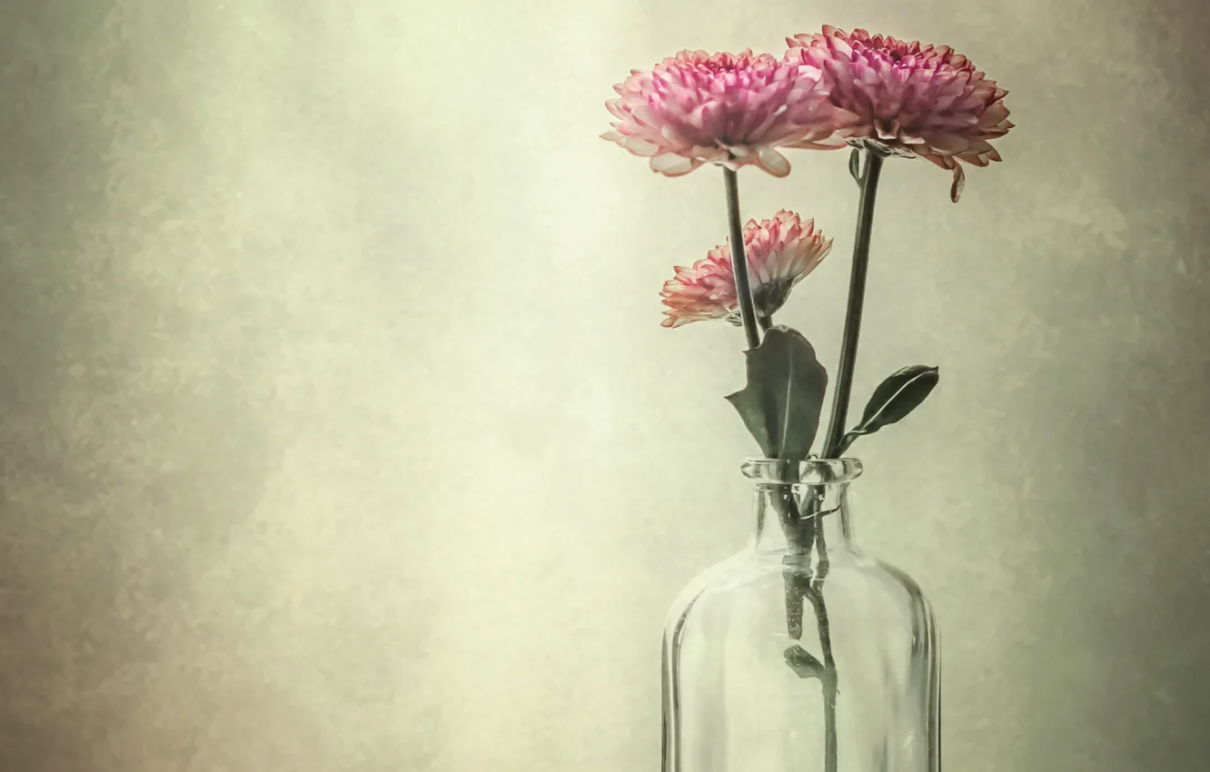 Photo wallpaper bottle, bouquet, petals, still life
