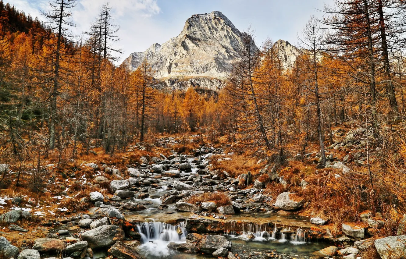 Photo wallpaper autumn, forest, mountains