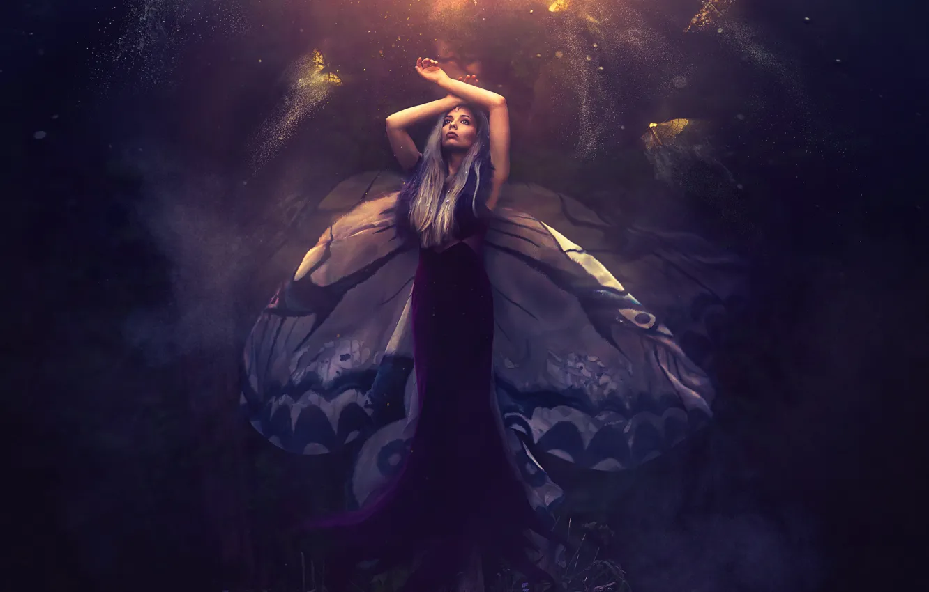 Photo wallpaper girl, wings, art, Shelby Robinson