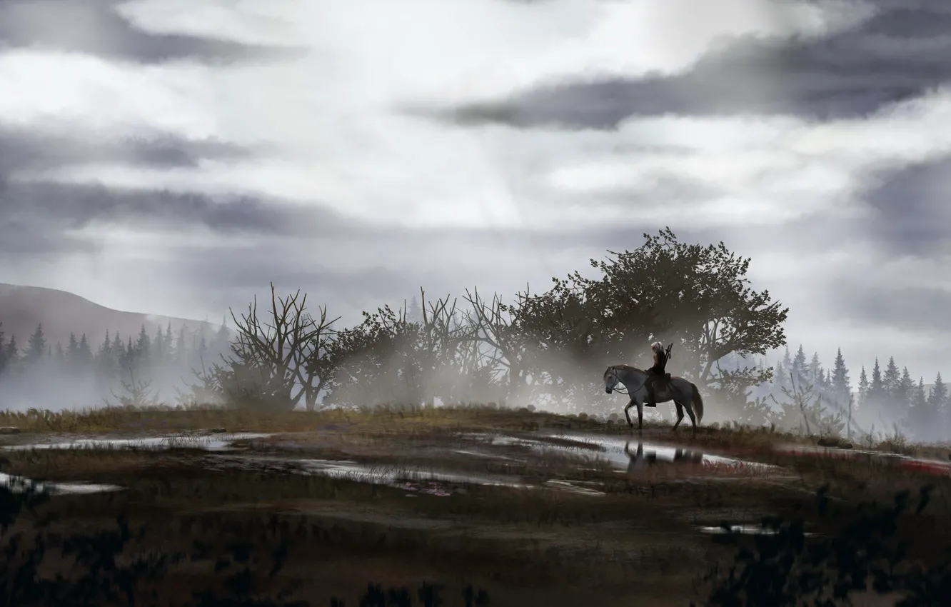 Photo wallpaper The Witcher, Geralt, CD Projekt RED, The Witcher 3: Wild Hunt, Geralt, The Witcher 3: …