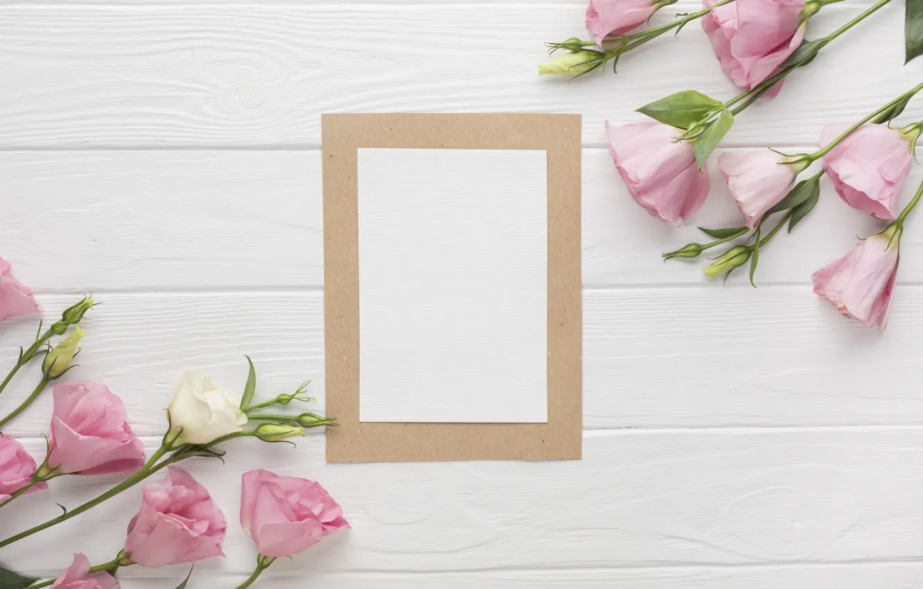 Photo wallpaper white, flowers, background, frame, eustoma