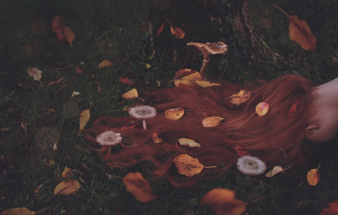 Photo wallpaper leaves, hair, mushrooms, red