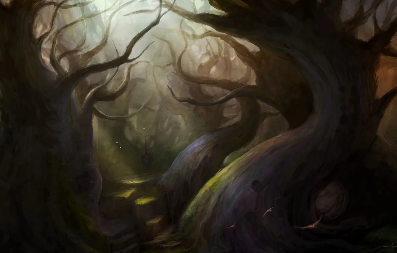 Photo wallpaper forest, trees, bird, people, art, haze, cloudminedesign, trees by