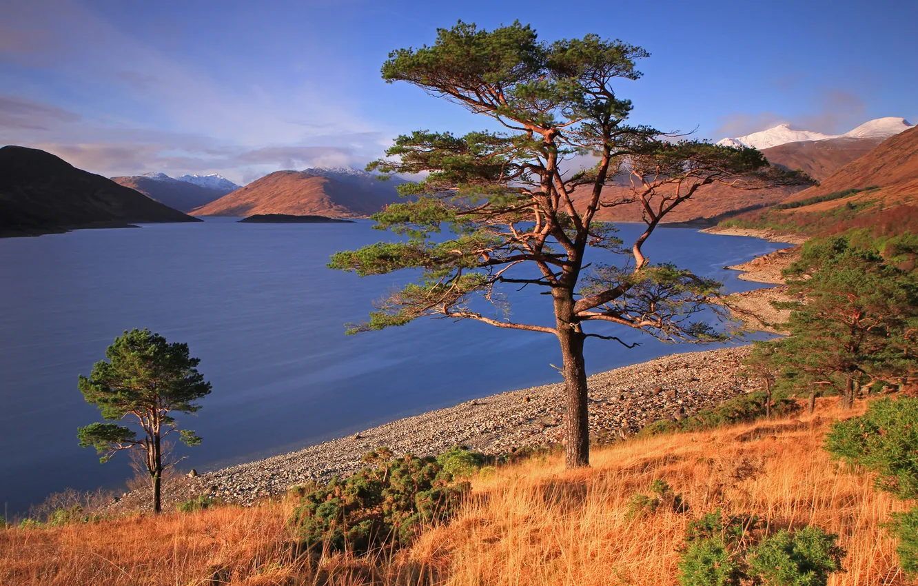 Photo wallpaper trees, nature, lake, hills, Sunny