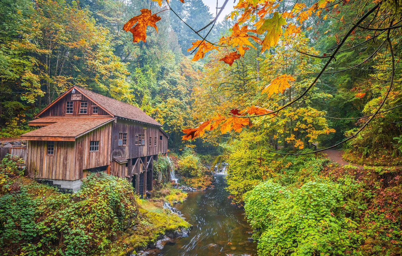 Photo wallpaper autumn, forest, nature, river, mill, Washington, Cedar Creek Grist Mill