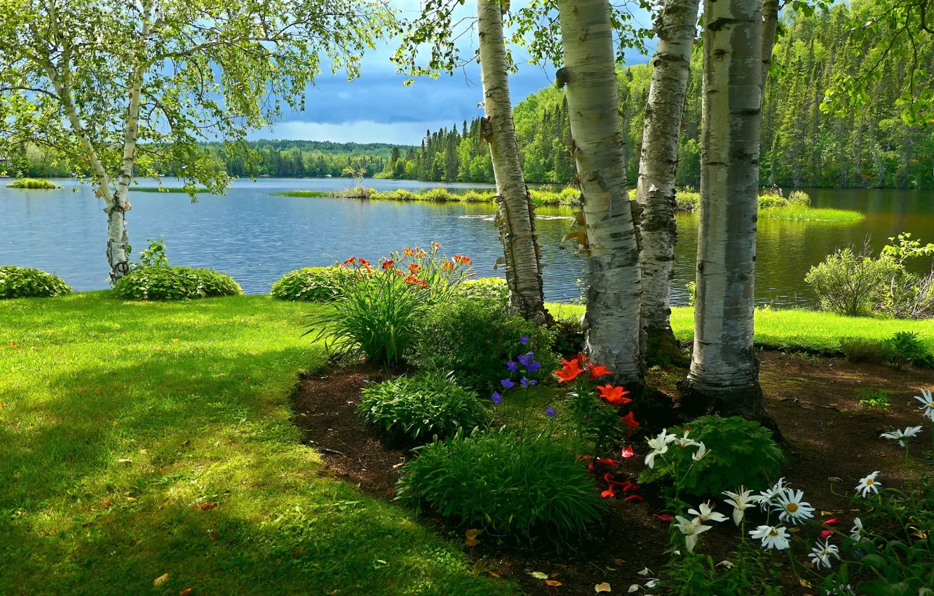 Photo wallpaper forest, summer, light, trees, flowers, lake, Park, branch