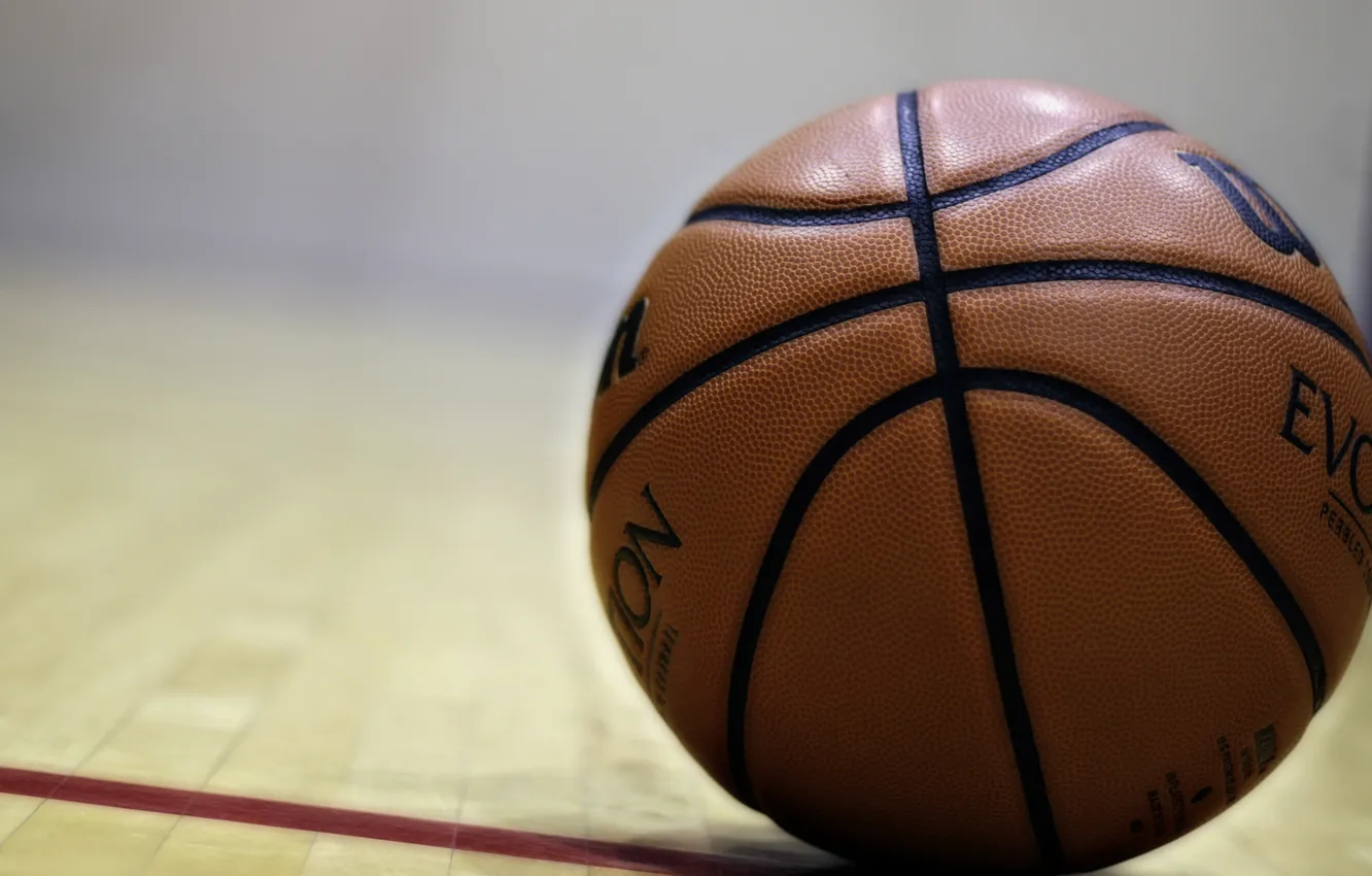 Photo wallpaper sport, the ball, basketball