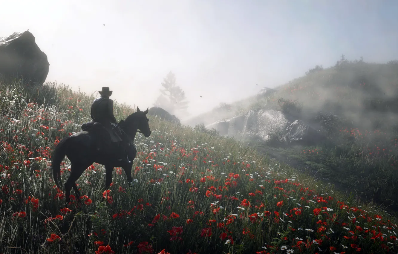 Photo wallpaper background, the game, Red Dead Redemption II
