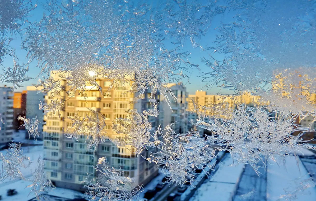 Photo wallpaper winter, pattern, home, window, frost