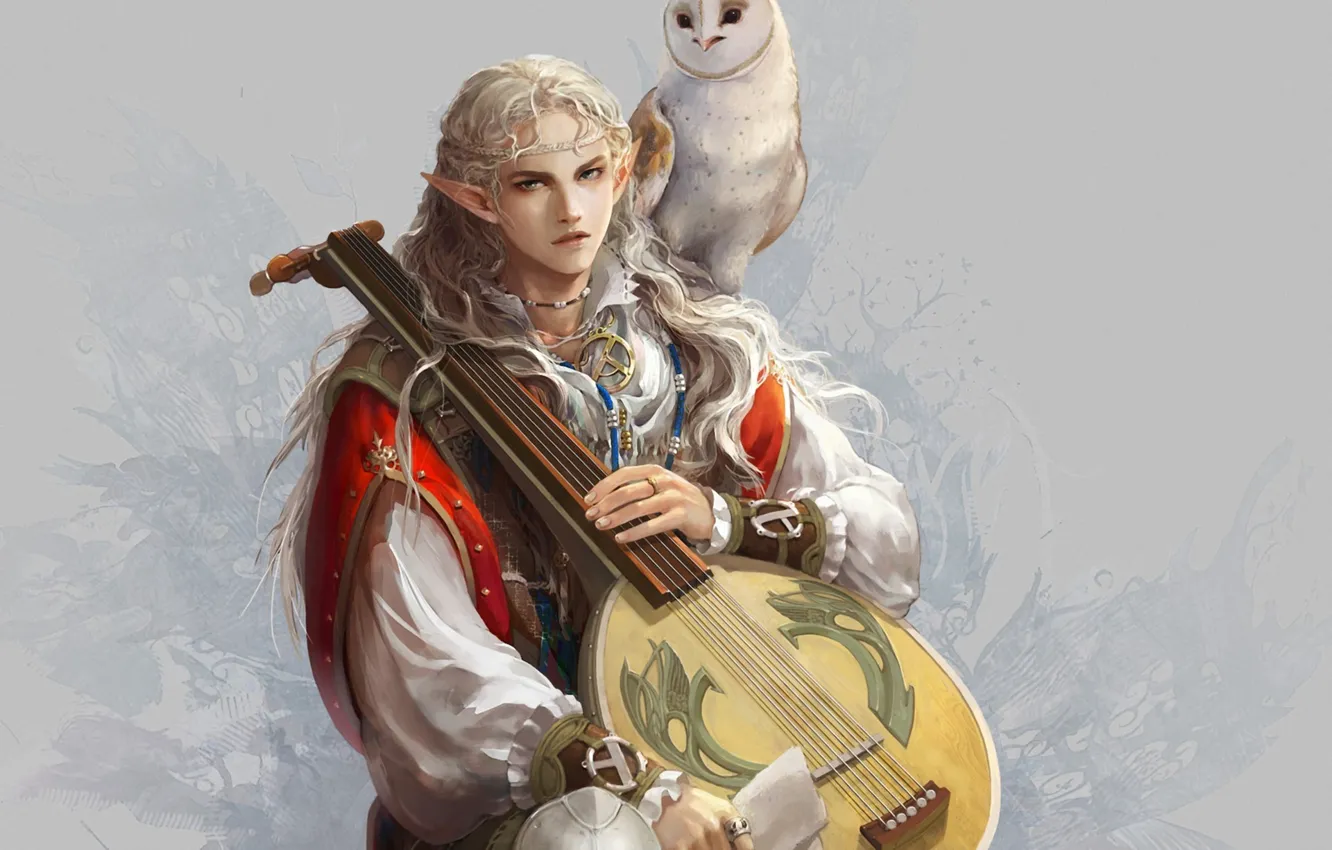 Photo wallpaper owl, bird, elf, art, guy, ears, bard, lute