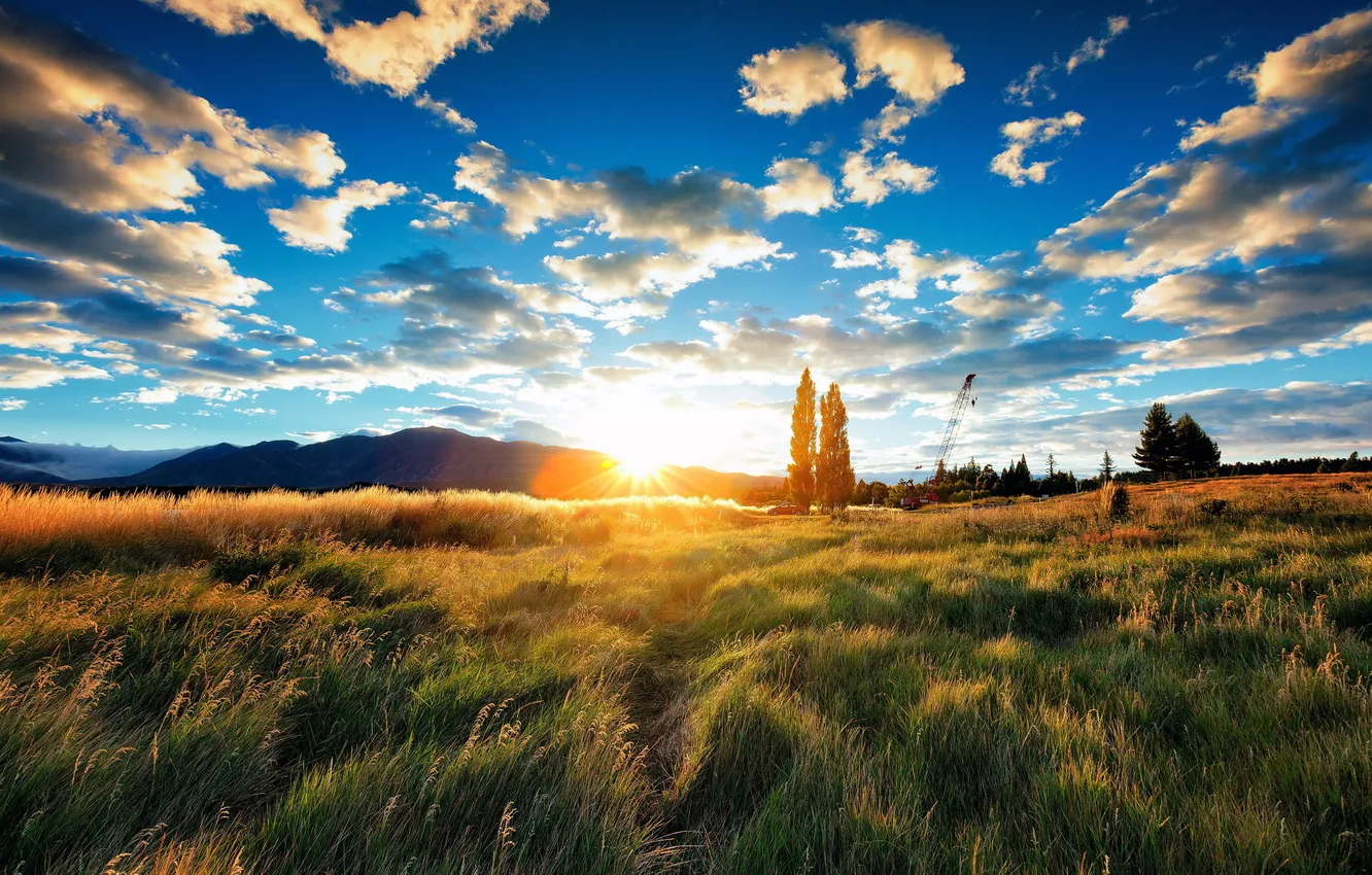 Photo wallpaper field, summer, the sky