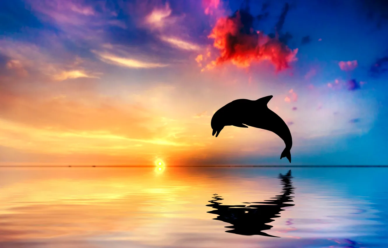 Photo wallpaper sunset, Dolphin, reflection, the ocean, jump, silhouette
