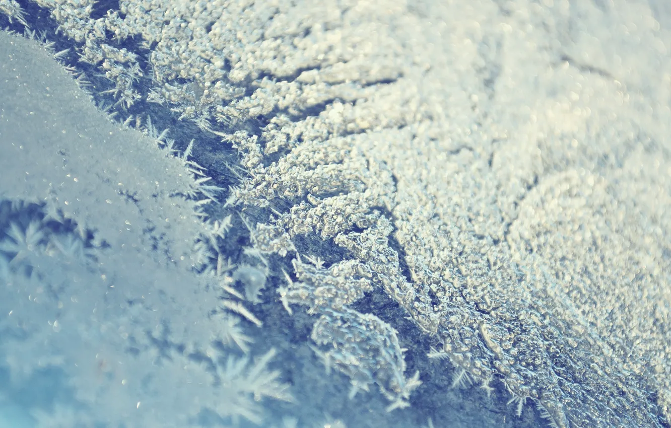 Photo wallpaper winter, frost, glass, window, frost