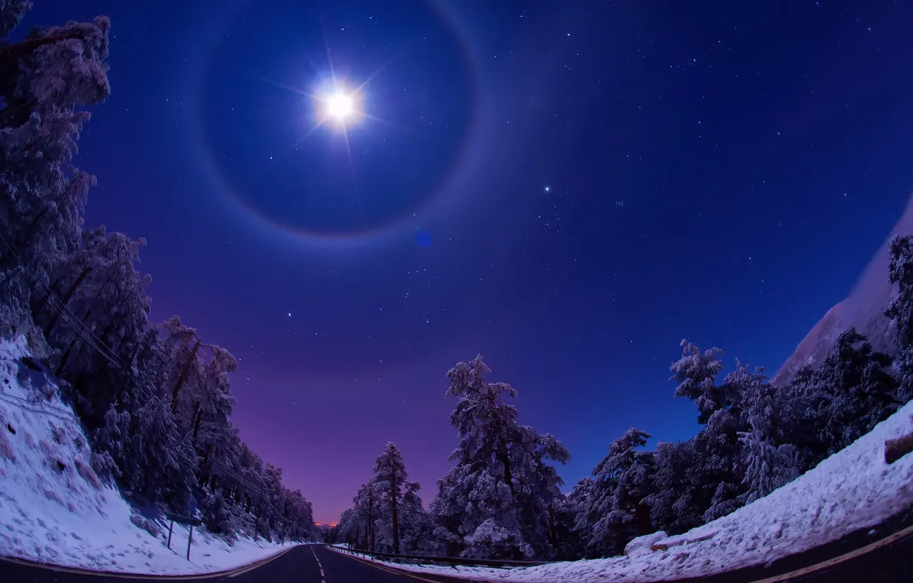 Photo wallpaper winter, road, forest, the sky, stars, snow, trees, landscape