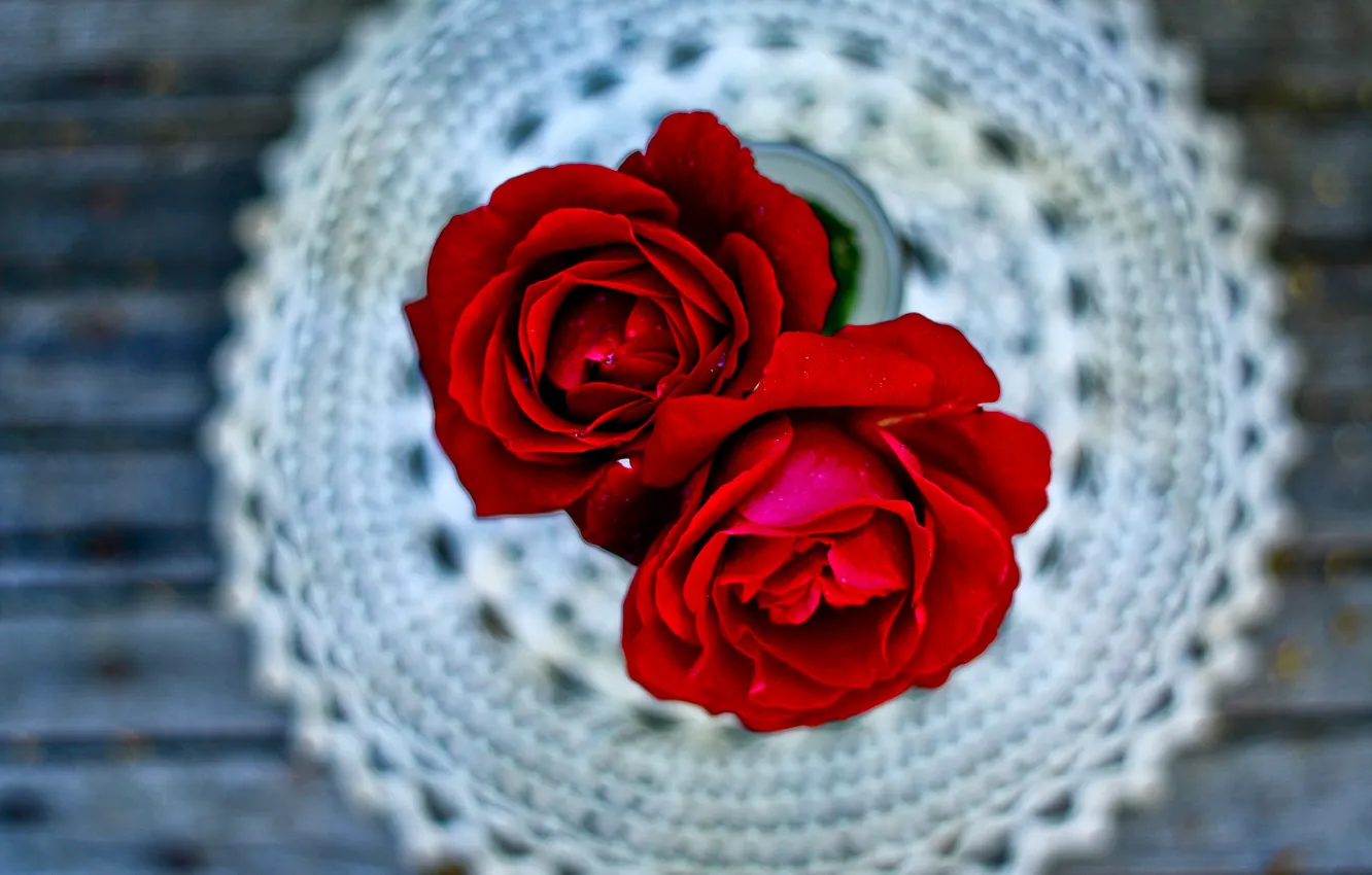 Photo wallpaper macro, roses, napkin