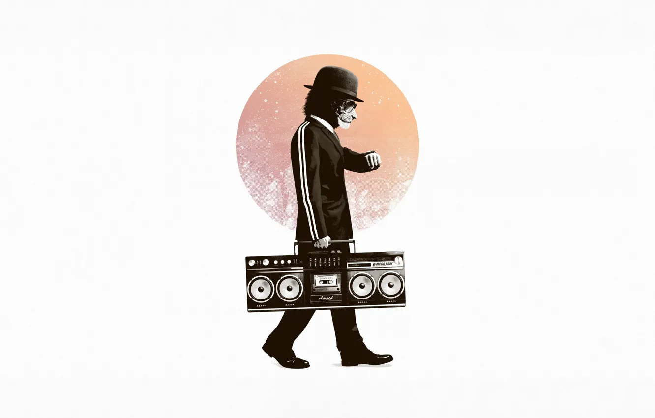 Photo wallpaper cat, tape, Leo, costume, fiction, cat, music, Music