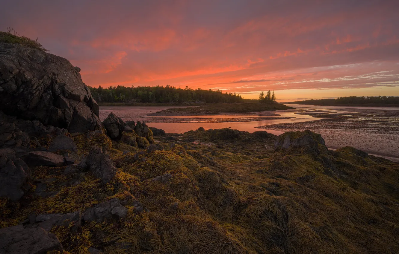 Photo wallpaper sunset, Sunset, Low Tide, coast of Maine